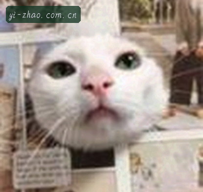赵阳